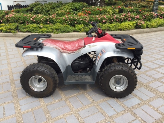 ขายรถ ATV ETON DXL90