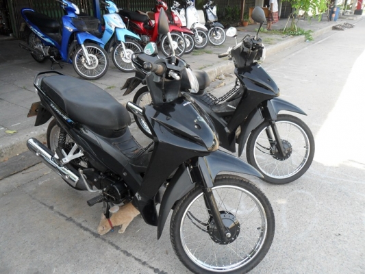 เวฟ110i ปี55 56 เครื่องเดิม สภาพดีเอกสารพร้อมโอน เวฟ110i ปี55 56 เครื่องเดิม สภาพดีเอกสารพร้อมโอน