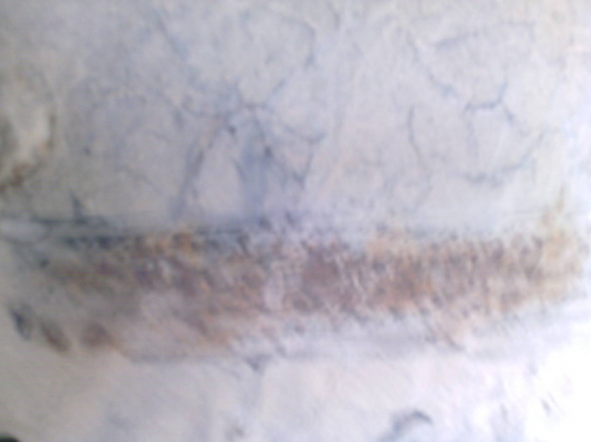 ขายด่วนรถ6ล้อมิทชูบีทชิรถติดดระเช้านำข้าจากญี่ปุ่นมีเดสาร ขายด่วนรถ6ล้อมิทชูบีทชิรถติดดระเช้านำข้าจากญี่ปุ่นมีเดสาร