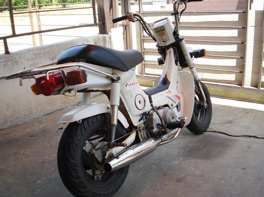 ขาย honda chaly cdi 12 v. สภาพเดิมญี่ปุ่น ท่อ sankei