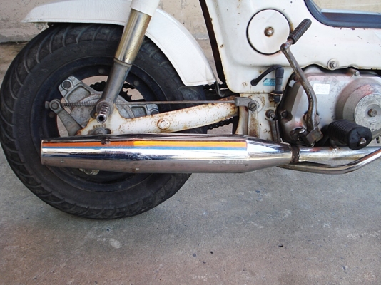 ขาย honda chaly cdi 12 v. สภาพเดิมญี่ปุ่น ท่อ sankei