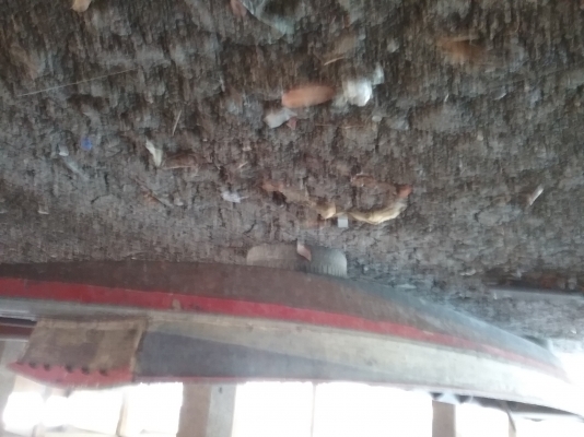 ขายเรือเข็มไม้สักทอง 4 วา