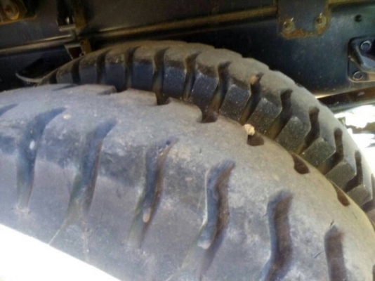 รถอีซูซุ 6 ล้อดั้ม FTR 240 แรงม้า. ปี 56  ( รถวิ่ง 94,xxx กม. , 6x,xxx กม.  )  ,  ( มีขาย 2 คัน. )   สนใจติดต่อ  081 - 6079515