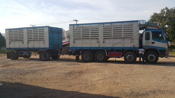 ขายรถพ่วง 20 ล้อ แม่-ลูก กระบะเหล็กคอกเกษตรไม่ดั้ม อู่.ซีทีทรัค ISUZU  270 ปี.25.ส.ค.46 รถสวย ราคา.1650000 ต่อรอง