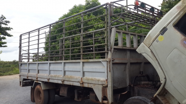 กระบะแผงสูง สวยยาว 5.5 ราคาถูกไม่ผุดี กระบะแผงสูง สวยยาว 5.5 ราคาถูกไม่ผุดี