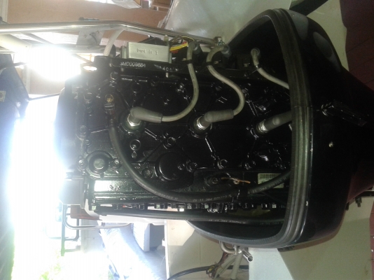 ขายเรือไฟเบอร์ 17ฟุต