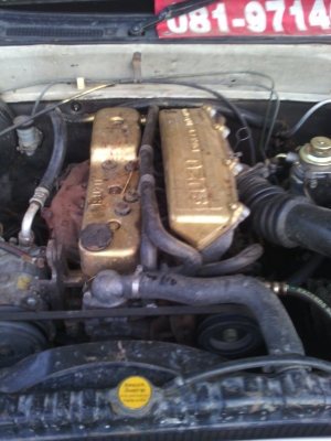 ขายTFRแค้ปฝาทอง