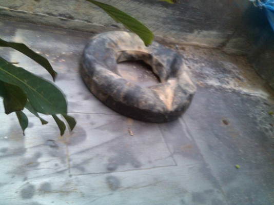 **360,000 บ.ต่อรอง/// 6ล้อดั้มดิน ISUZU NPR-125 ** ขาย ISUZU NPR-125 6ล้อดั้มดิน5คิว พร้อมใช้งาน ISUZU NPR59LU5M 4BG1-125HP แก้มเหลือง เกียร์สั้น รถห้างแท้ วางเครื่องใหม่ (ลงเล่ม) เครื่องฟิตมาใหม่ แน่น แรง เกียร์สั้น เข้าง่ายไม่มีหลุดครับ ช่วงล่างใหญ่ Fหล **360,000 บ.ต่อรอง/// 6ล้อดั้มดิน ISUZU NPR-125 ** ขาย ISUZU NPR-125 6ล้อดั้มดิน5คิว พร้อมใช้งาน ISUZU NPR59LU5M 4BG1-125HP แก้มเหลือง เกียร์สั้น รถห้างแท้ วางเครื่องใหม่ (ลงเล่ม) เครื่องฟิตมาใหม่ แน่น แรง เกียร์สั้น เข้าง่ายไม่มีหลุดครับ ช่วงล่างใหญ่ Fหล