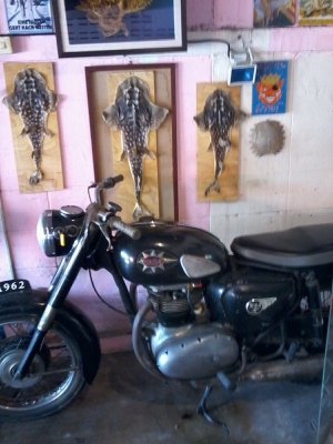 ขาย bsa a50 มีเล่มคุม เอกสารกระดาษใบเดว เครื่องดีโครต รถเดิมๆ ขี่ได้ปกติ สวยๆแห้งๆ ขาย 85000 ติดต่อ 0889419663