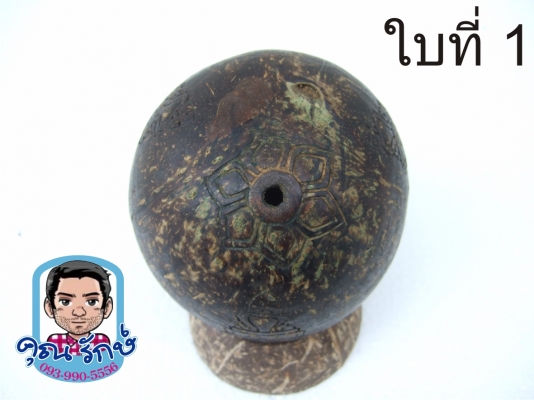 กะลาแกะราหูเต็มใบ ขนาดบูชา  ครับ