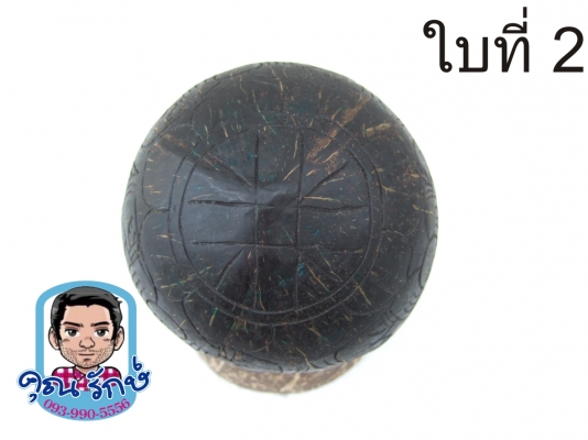 กะลาแกะราหูเต็มใบ ขนาดบูชา  ครับ