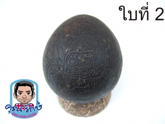 กะลาแกะราหูเต็มใบ ขนาดบูชา  ครับ