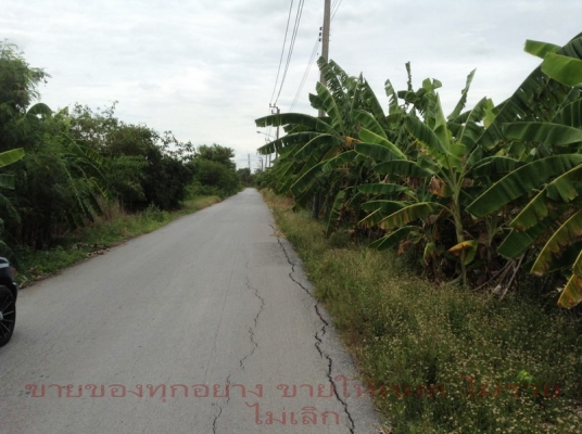 @@@ ไม่ไกลจาก สน.ประชาสำราญ หนองจอก กทม. @@@1ไร่กว่า @@@ ไม่ไกลจาก สน.ประชาสำราญ หนองจอก กทม. @@@1ไร่กว่า