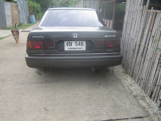 ขายเก่งถูก ขายเก่งถูก