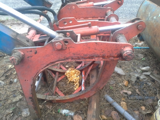 ขายปากคีบอ้อยคีบหลัง