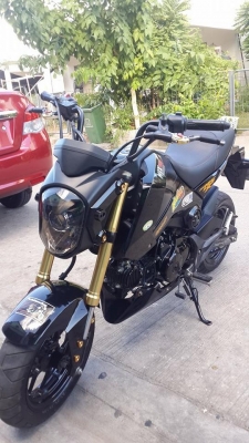 msx 125 msx 125