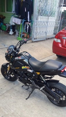 msx 125 msx 125