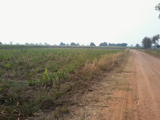 ขายที่ดินติดทางสาธารณะ 9 ไร่ ราคา 250,000 บาทต่อไร่ บ้านคลองนาดี อ.สีคิ้ว