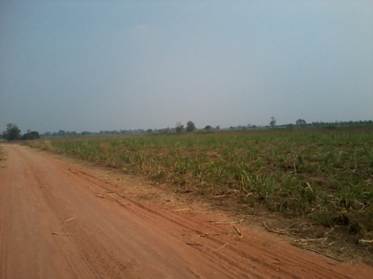 ขายที่ดินติดทางสาธารณะ 9 ไร่ ราคา 250,000 บาทต่อไร่ บ้านคลองนาดี อ.สีคิ้ว