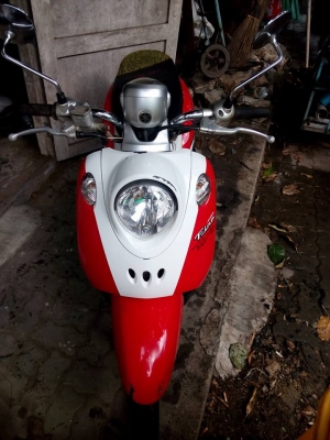 ขายลูกเดียว fino ปี2551 รถบ้าน ราคาประหยัด มีเล่มเอกสารครบ ขายลูกเดียว fino ปี2551 รถบ้าน ราคาประหยัด มีเล่มเอกสารครบ