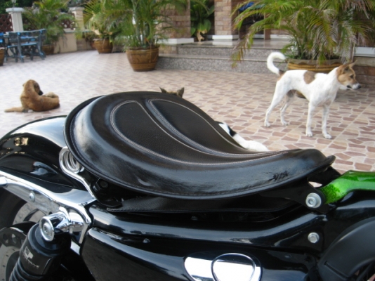 ขาย harley-davidson sportster 1200 c.แต่ง 48 ปี 2011 ทะเบียน สมอ.549,000-