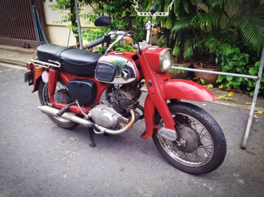 ขาย 1964 HONDA C95 /โอนได้/ไม่ขาดต่อ