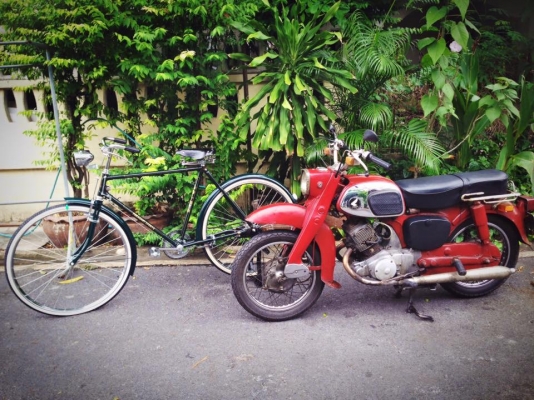 ขาย 1964 HONDA C95 /โอนได้/ไม่ขาดต่อ