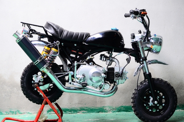 มังกี้ กอลิล่า แต่งๆๆ ลดราคาทุกรุ่นและมีของแถมอีกมากมาย  ด่วนๆๆ ลดๆๆ