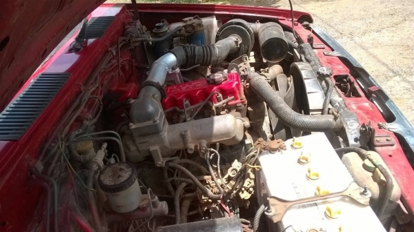 ขาย NISSAN ตอนเดียว เครื่องฝาแดงหยาบ BD25 แน่นไม่หลวมไม่ไอ คัสซีสวยตลอดเส้น ทะเบียนพร้อมโอน ขาย NISSAN ตอนเดียว เครื่องฝาแดงหยาบ BD25 แน่นไม่หลวมไม่ไอ คัสซีสวยตลอดเส้น ทะเบียนพร้อมโอน