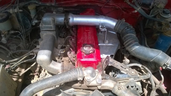 ขาย NISSAN ตอนเดียว เครื่องฝาแดงหยาบ BD25 แน่นไม่หลวมไม่ไอ คัสซีสวยตลอดเส้น ทะเบียนพร้อมโอน ขาย NISSAN ตอนเดียว เครื่องฝาแดงหยาบ BD25 แน่นไม่หลวมไม่ไอ คัสซีสวยตลอดเส้น ทะเบียนพร้อมโอน