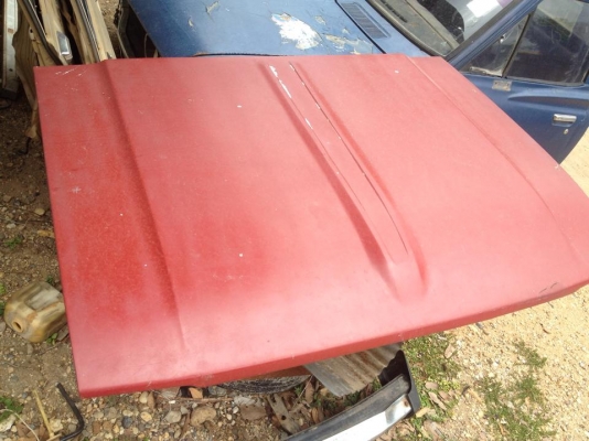 ขายหัวเก็งม้ากระโดดแห้งๆเดิมๆ ขายหัวเก็งม้ากระโดดแห้งๆเดิมๆ