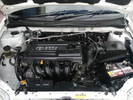 อัลติส อัลติส