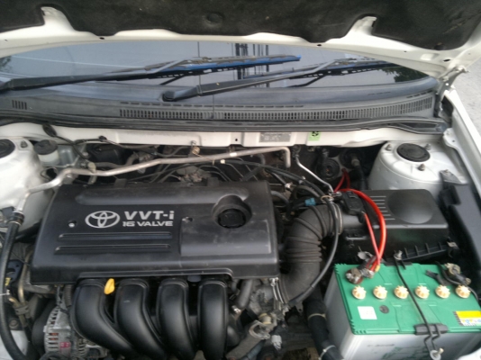 อัลติส อัลติส