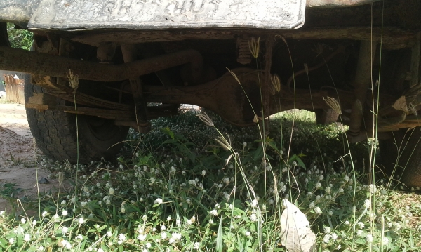 ขายนิสสัน 720 ขายนิสสัน 720