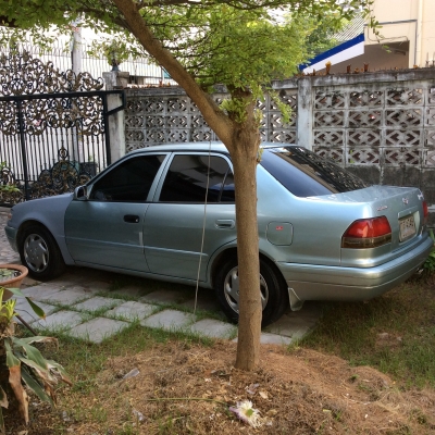 โตโยต้าโคโรล่า ตูดเป็ด