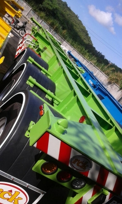 จำหน่ายและจัดไฟแนนท์หางพื้นเรียบ,ก้างปลาใหม่