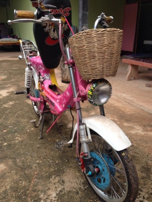 ชาลี (โครงเข็น)