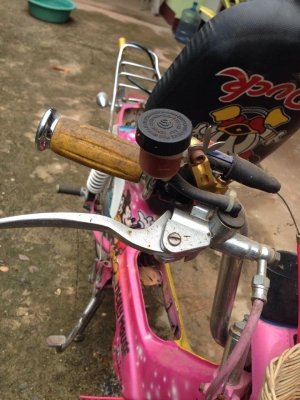 ชาลี (โครงเข็น)