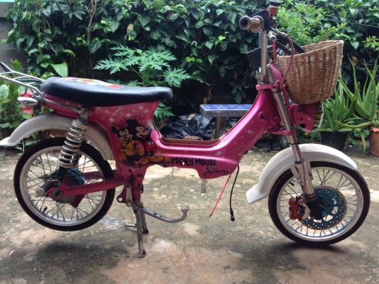 ชาลี (โครงเข็น)