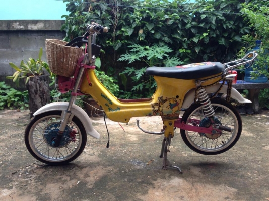 ชาลี (โครงเข็น)