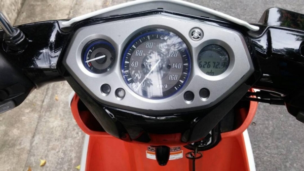 นูโวอิลิแกนซ์135ตัวtop ปี54