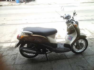 ฟีโน่ปี54