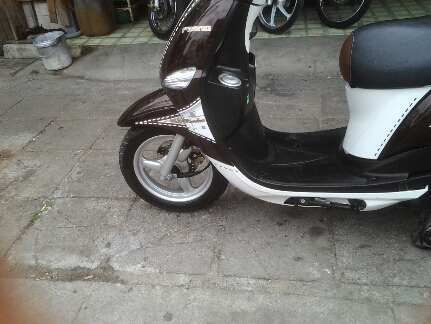 ฟีลาโน่สวยปี55