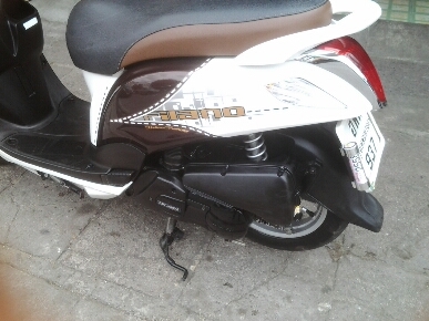 ฟีลาโน่สวยปี55