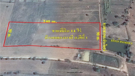 ขายที่ดินราคาถูก 14 ไร่ ติดถนนสาธารณะ ราคา 250000 บาทต่อไร่ อ.สีคิ้ว