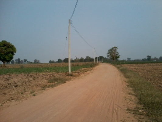 ขายที่ดินราคาถูก 14 ไร่ ติดถนนสาธารณะ ราคา 250000 บาทต่อไร่ อ.สีคิ้ว