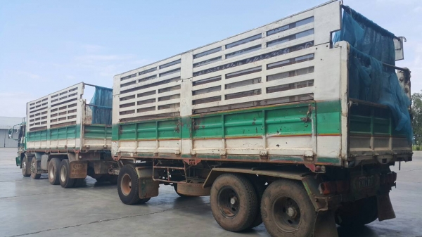 ขายรถพ่วง 24 ล้อ แม่-ลูก กระบะเหล็กคอกเกษตรดั้ม HINO PROFIA P11C-325 แรง 7 เกียร์ ช่วงล้าง ZM-10 น๊อด ราคาแค่่.1600000 ต่อรอง สนใจรีบโทรด่วน