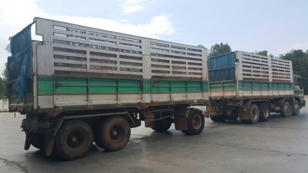 ขายรถพ่วง 24 ล้อ แม่-ลูก กระบะเหล็กคอกเกษตรดั้ม HINO PROFIA P11C-325 แรง 7 เกียร์ ช่วงล้าง ZM-10 น๊อด ราคาแค่่.1600000 ต่อรอง สนใจรีบโทรด่วน