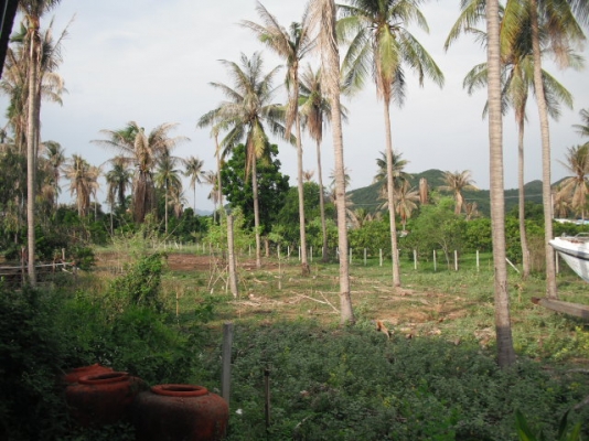 ขายที่สวยทำเลดีอยู่ไกล้ทะเลเพียง500เมตร ขายที่สวยทำเลดีอยู่ไกล้ทะเลเพียง500เมตร