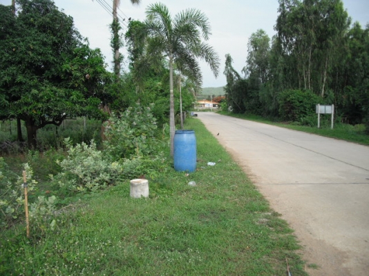 ขายที่สวยทำเลดีอยู่ไกล้ทะเลเพียง500เมตร ขายที่สวยทำเลดีอยู่ไกล้ทะเลเพียง500เมตร